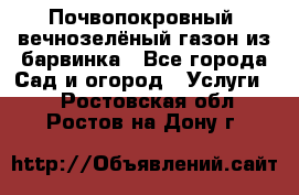 Почвопокровный, вечнозелёный газон из барвинка - Все города Сад и огород » Услуги   . Ростовская обл.,Ростов-на-Дону г.